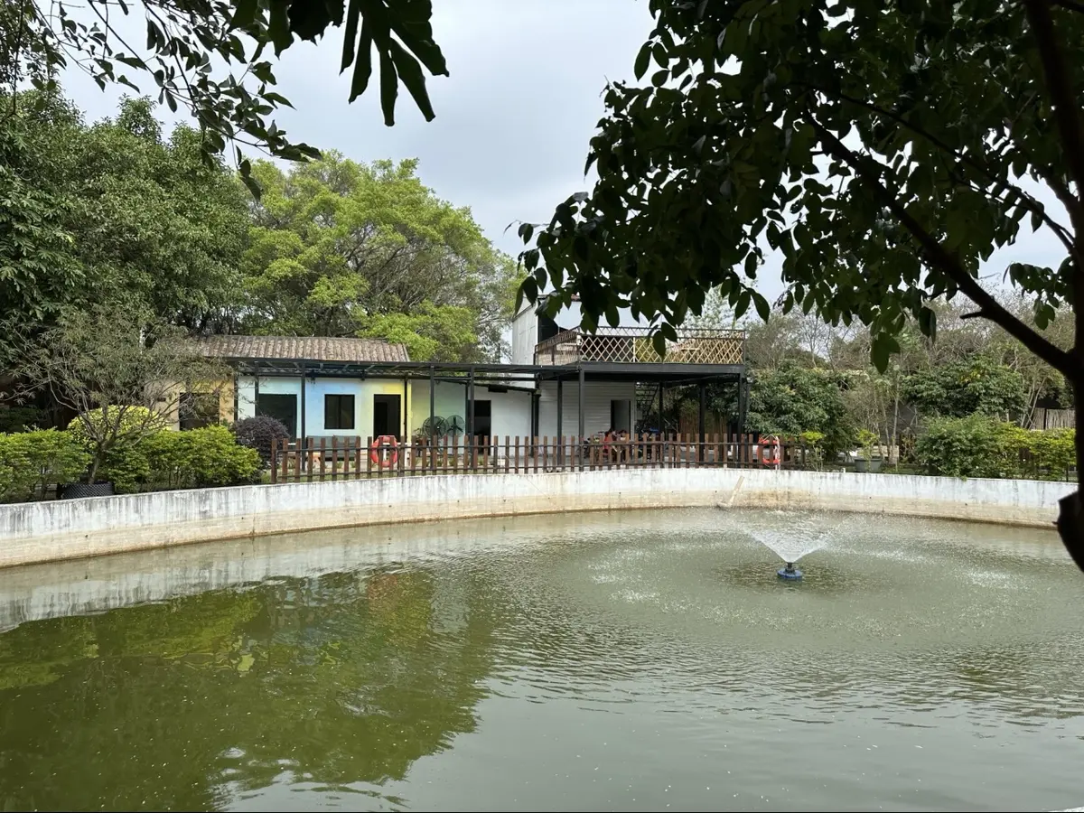 营地环境