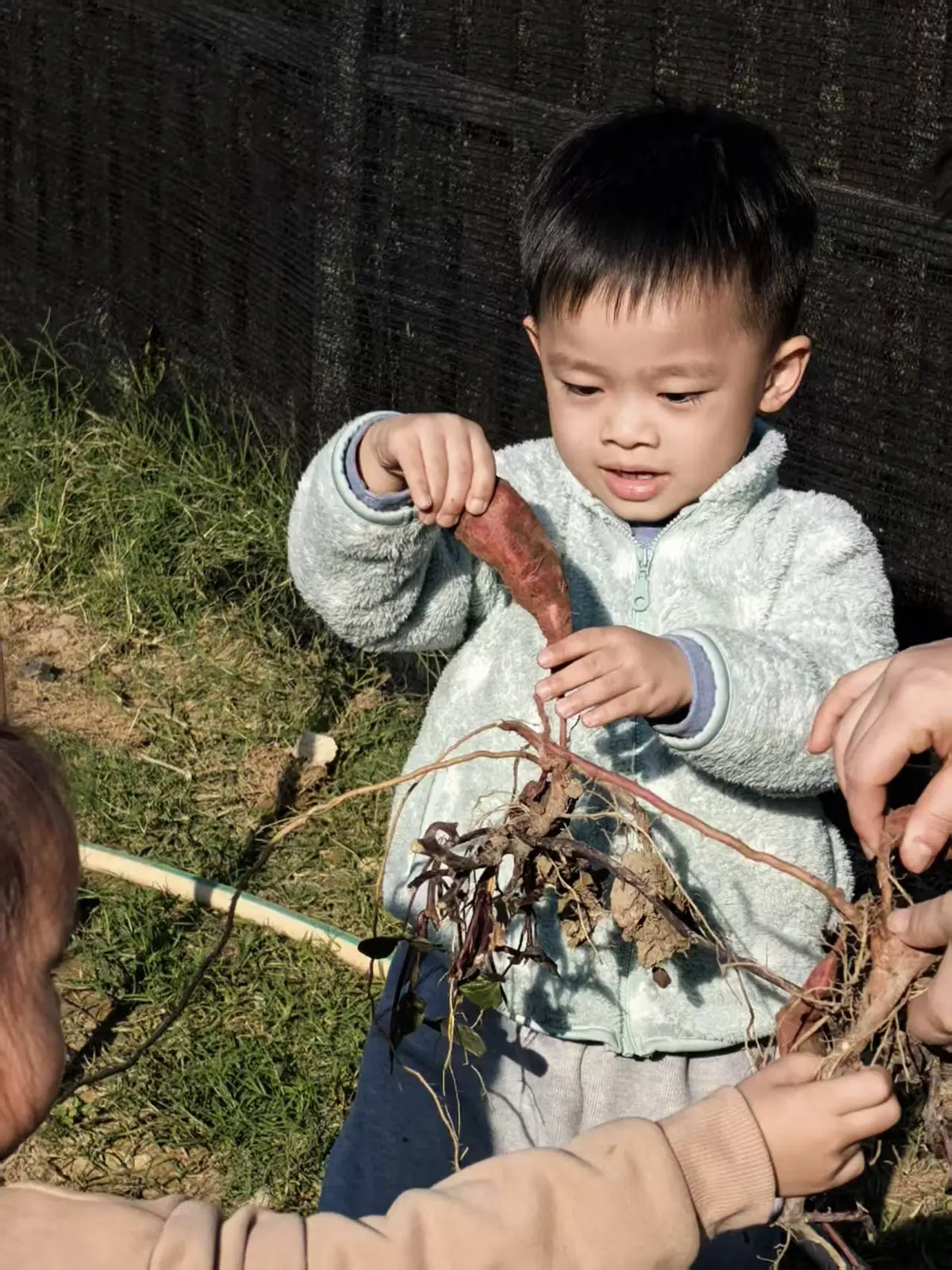 林间童趣・自然拾光