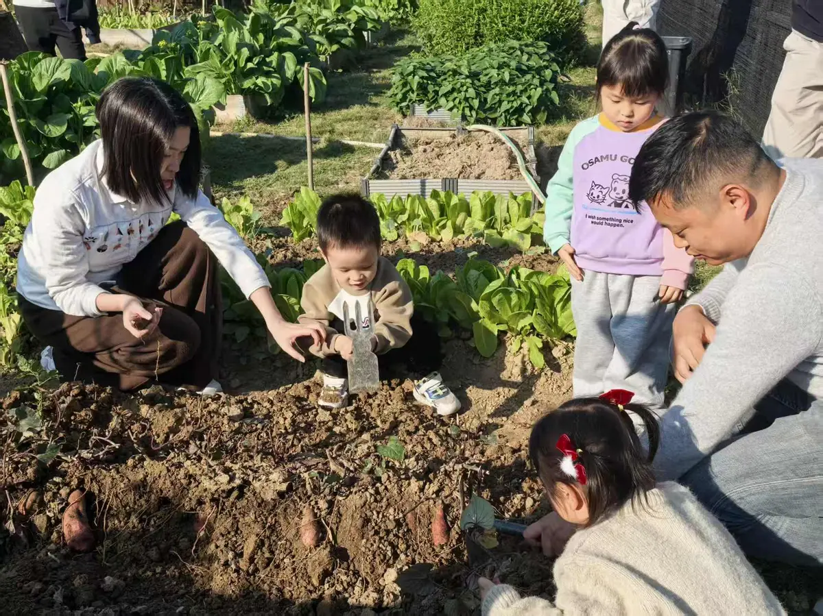 林间童趣・自然拾光